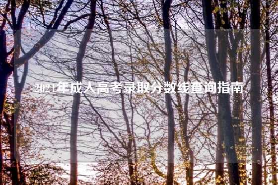 2021年成人高考录取分数线查询指南