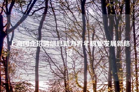 上海国企招聘信息助力青年职业发展新路径